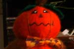 An Interview with Mr. Pumpkin